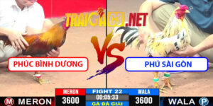 Video Trận 22 CPC3 7/5/2025 - Phú Sài Gòn Hạ Phúc Bình Dương