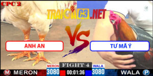 Video Trận 4 CPC2 9/5/2025 - Anh An Đấu Tư Mã Ý