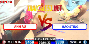 Video Trận 22 CPC2 9/5/2025 - Anh Âu Với Bảo Sting