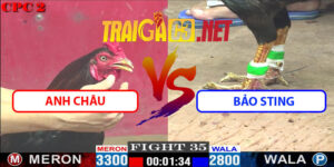 Video Trận 35 CPC2 9/5/2025 - Anh Châu Đè Bạc Bảo Sting