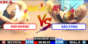 Video Trận 12 CPC2 16/5/2025 - Anh Khang Với Bảo Sting