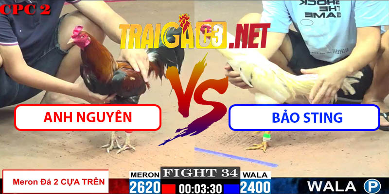 Video Trận 34 CPC2 23/5/2025 - Anh Nguyên Đấu Với BảoSting