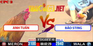Video Trận 6 CPC2 9/5/2025 - Anh Tuấn Đấu Bảo Sting