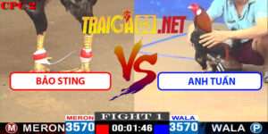 Video Trận 1 CPC2 9/5/2025 - Bảo Sting Hạ Anh Tuấn