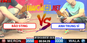 Video Trận 11 CPC1 15/5/2025 - Bảo Sting Đấu A Trung Sĩ