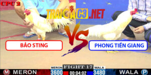 Video Trận 17 CPC2 23/5/2025 - Bảo Sting Vs Phong Tiền Giang