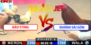 Video Trận 4 15/5/2025 - Bảo Sting Hạ Khánh Sài Gòn