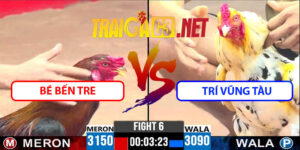Video Trận 6 CPC3 13/5/2025 - Bé Bến Tre Lại Bị Trí Vũng Tàu Hạ