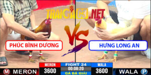 Video Trận 24 CPC3 7/5/2025 - Phúc Bình Dương Đấu Hưng Long An