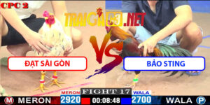 Video Trận 17 CPC2 16/5/2025 - Đạt Sài Gòn Vs Bảo Sting