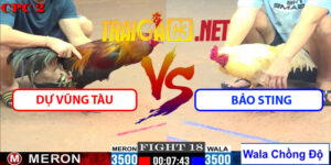Video Trận 18 CPC2 23/5/2025 - Dự Vũng Tàu Vs Bảo Sting
