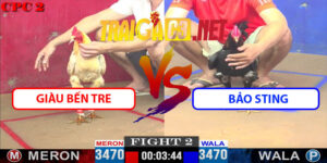 Video Trận 2 CPC2 9/5/2025 - Giàu Bến Tre Hạ Bảo Sting
