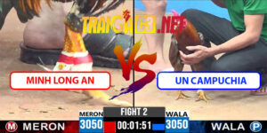 Video Trận 2 CPC2 7/5/2025 - Un Campuchia Hạ Má Minh