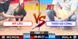 Video Trận 17 CPC3 18/5/2025 - Mỹ Liều Đấu Thảo Gò Công