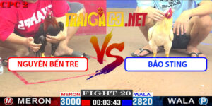 Video Trận 20 CPC2 9/5/2025 - Nguyên Bến Tre Đấu Bảo Sting