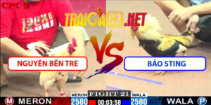 Video Trận 21 CPC2 23/5/2025 - Nguyên Bến Tre Vs Bảo Sting