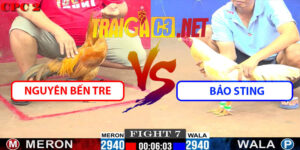 Video Trận 7 CPC2 23/5/2025 - Nguyên Bến Tre Vs Bảo Sting
