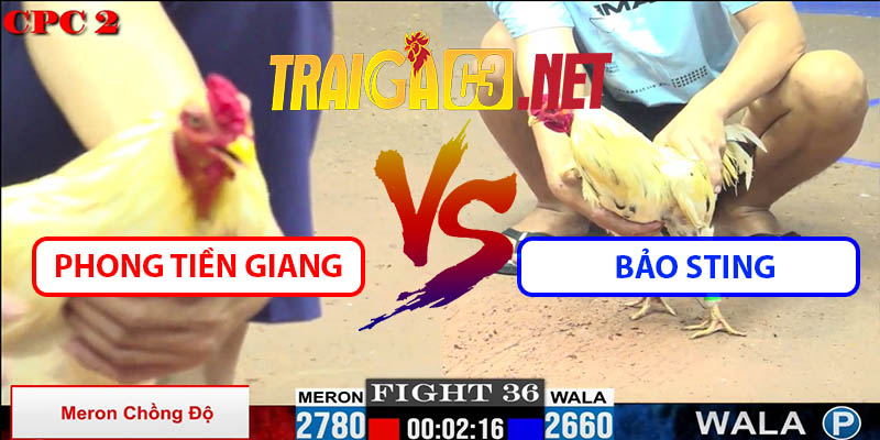 Video Trận 36 CPC2 23/5/2025 - Bảo Sting Lại Bị Phong Tiền Giang Hạ