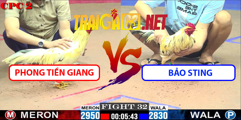 Video Trận 32 CPC2 23/5/2025 - Phong Tiền Giang Vs Bảo Sting