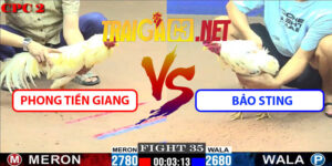 Video Trận 35 CPC2 23/5/2025 - Phong Tiền Giang Hạ Bảo Sting