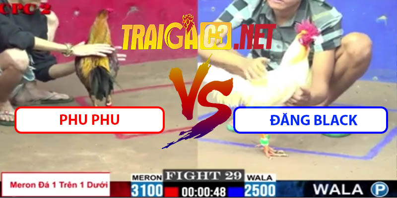 Video Trận 29 CPC2 23/5/2025 - Phu Phu Đấu Đăng Black