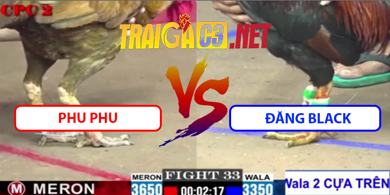 Video Trận 33 CPC2 23/5/2025 - Đăng Black Hạ Tiếp Phu Phu