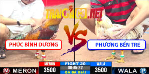 Video Trận 20 CPC3 7/5/2025 - Phúc Bình Dương B Với Phương Bến Tre