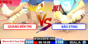 Video Trận 16 CPC2 16/5/2025 - Quang Bến Tre Và bảo Sting