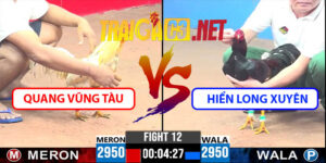 Video Trận 12 CPC3 18/5/2025 - Quang Vũng Tàu Vs Hiển Long Xuyên