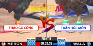 Video Trận 5 CPC3 18/5/2025 - Quang Vũng Tàu Đấu Tuấn Hóc Môn