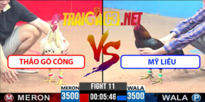 Video Trận 3 CPC3 18/5/2025 - Thảo Gò Công Vs Mỹ Liều