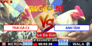 Video Trận 26 CPC2 4/5/2025 - Trại Gà C3 Với Anh Tám