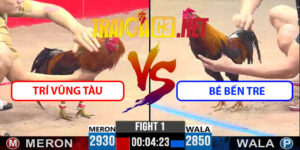 Video Trận 1 CPC3 13/5/2025 - Trí Vũng Tàu Hạ Bé Bến Tre