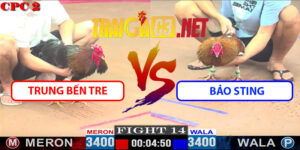 Video Trận 14 CPC2 9/5/2025 - Trung Bến Tre Đấu Bảo Sting