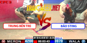 Video Trận 13 CPC2 16/5/2025 - Trung Bến Tre Cáp Kèo Bảo Sting