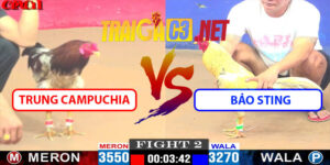 Video Trận 2 CPC1 15/5/2025 - Trung Campuchia Đụng Bảo Sting