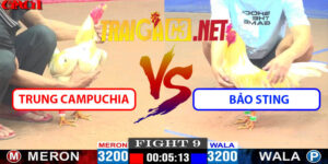 Video Trận 9 CPC1 15/5/2025 - Trung Campuchia Đấu Bảo Sting