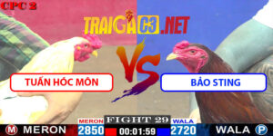 Video Trận 29 CPC2 9/5/2025 - Tuấn Hóc Môn Và Bảo Sting