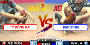 Video Trận 22 CPC2 23/5/2025 - Tý Đồng Nai Vs Bảo Sting