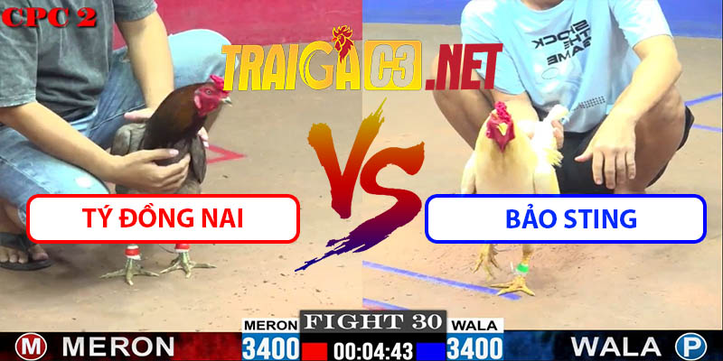 Video Trận 30 CPC2 23/5/2025 - Tý Đồng Nai Đấu Bảo Sting