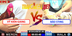 Video Trận 8 CPC2 16/5/2025 - Vỹ Kiên Giang Đụng Bảo Sting