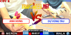 Video Trận 18 CPC2 8/6/2025 - Gà A Dự Bị Đá Không Kịp Ngáp