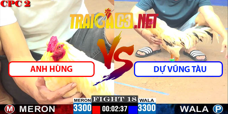 Video Trận 18 CPC2 8/6/2025 - Gà A Dự Bị Đá Không Kịp Ngáp