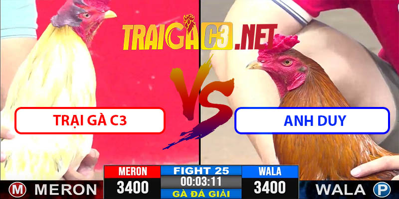 Video Trận 25 CPC3 31/5/2025 - Trại Gà C3 Đấu Anh Duy